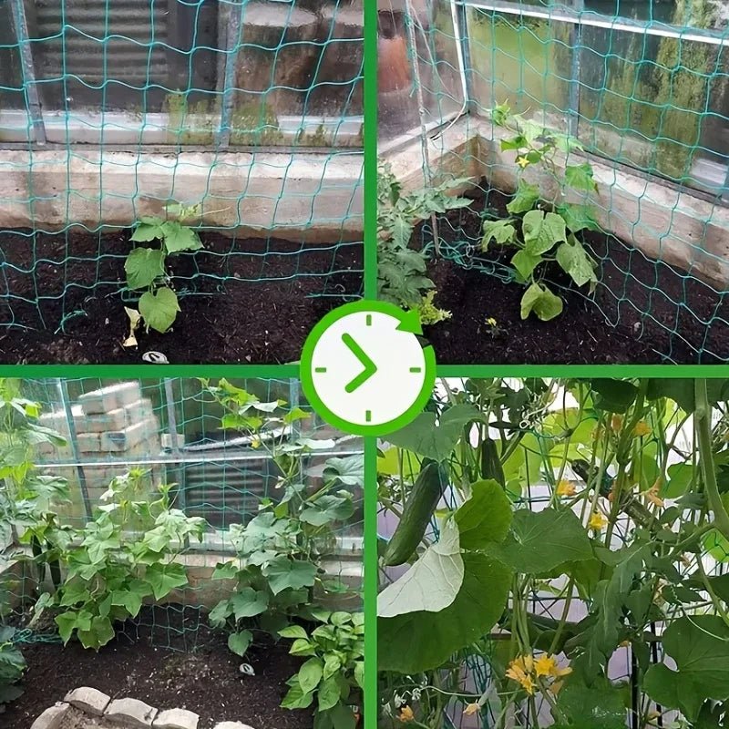 Plant Trellis Pergolas, Heavy - Duty Polyester Grow Net, Garden Trellis Netting With Square Mesh For Climbing Plants, Vegetables, - Acyl.shop