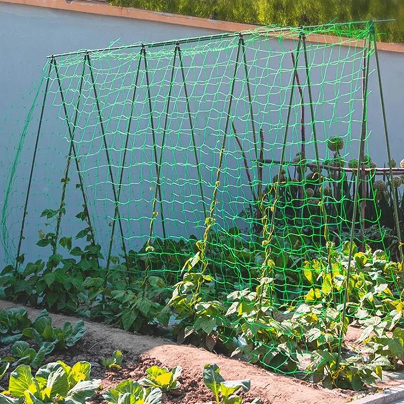 Plant Trellis Pergolas, Heavy - Duty Polyester Grow Net, Garden Trellis Netting With Square Mesh For Climbing Plants, Vegetables, - Acyl.shop