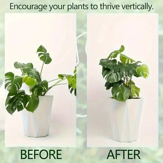 1Pc Large hanging plant stand, iron hooks, suitable for flowerpot decoration, indoor and outdoor use - Acyl.shop