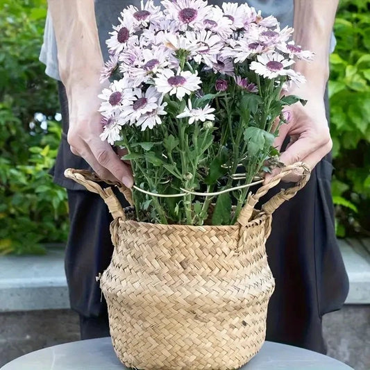 1Pc Large hanging plant stand, iron hooks, suitable for flowerpot decoration, indoor and outdoor use - Acyl.shop